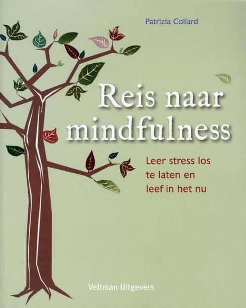 Reis naar mindfulness - Patrizia Collard - 9789048307883 - P, Boeken, Esoterie en Spiritualiteit, Verzenden