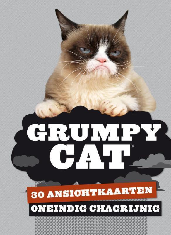 Grumpy cat 9789045318295 Grumpy Cat, Boeken, Stripverhalen, Gelezen, Verzenden