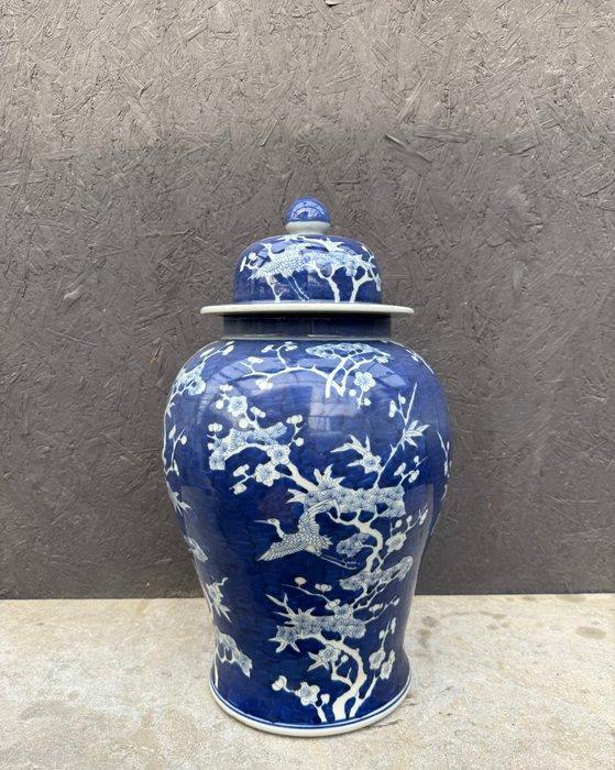 dekselvaas - Porselein - China - Lidded jar (Zonder, Antiek en Kunst, Antiek | Overige Antiek