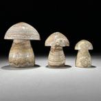 Geen minimumprijs - Prachtige set van 3 Lace Agate.