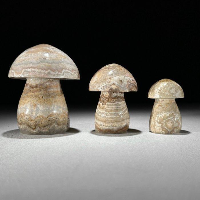 Geen minimumprijs - Prachtige set van 3 Lace Agate., Antiquités & Art, Art | Objets design