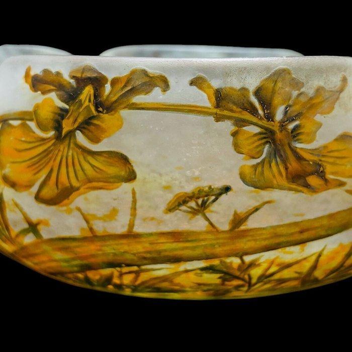 Daum Nancy - Kom - Glas - Oncidium orchideeën kom, Antiek en Kunst, Antiek | Glaswerk en Kristal