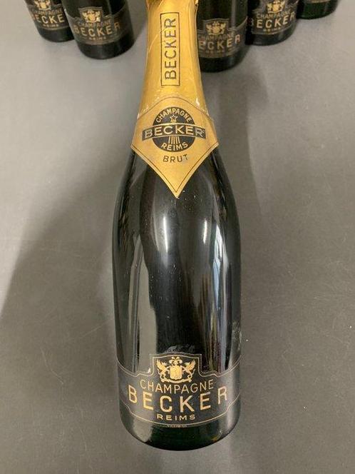 Becker - Champagne Brut - 6 Bouteilles (0,75 L), Verzamelen, Wijnen