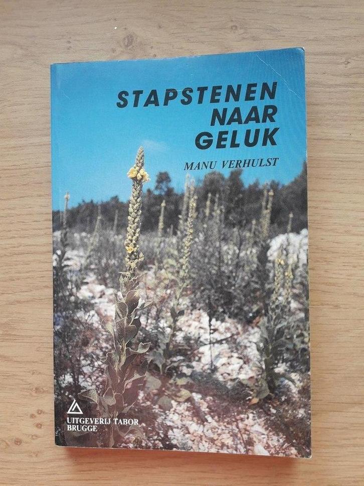 Stapstenen naar geluk 9789065973665 Verhulst, Boeken, Godsdienst en Theologie, Gelezen, Verzenden