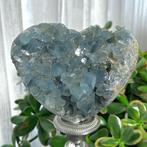 Celestine Géode de célestine bleue en forme de cœur, amas -, Verzamelen, Mineralen en Fossielen