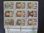 Shooting Stars Campionato 1991-92 - 1 Album complet - Light, Verzamelen, Nieuw