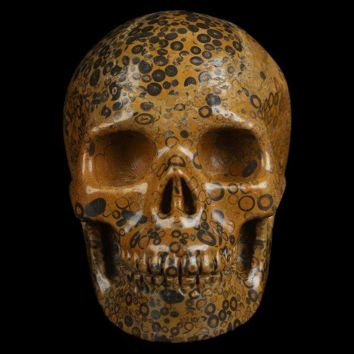 Voodoo Leopard Skin Jaspis 299g – De Hoeder van de Sluier, Collections, Minéraux & Fossiles