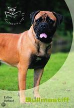 Bullmastiff / Basisgids dierenverzorging 9789058411228, Verzenden, Gelezen, Esther Verhoef