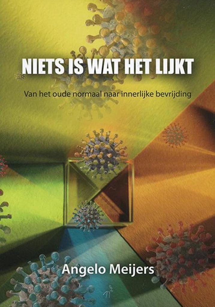 Niets is wat het lijkt 9789491456893 Angelo Meijers, Boeken, Hobby en Vrije tijd, Gelezen, Verzenden