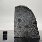 TANEZROUFT Meteoriet 091 Mesosideriet Blad - 53 g, Verzamelen