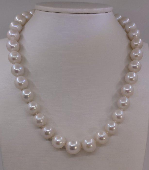 Zonder Minimumprijs - Halsketting Grote maat - 11,5x14,5mm, Handtassen en Accessoires, Kettingen