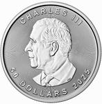 1 Troy Ounce - Argent .999 - maple Leaf 2025 - 31,1 gram -, Timbres & Monnaies