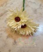 Aster Gerbera Crème Groen Foambloem Doos 30 stuks, Nieuw