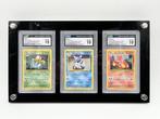 The Pokémon Company - 3 Graded card - Ivysaur Holo &, Hobby en Vrije tijd, Nieuw