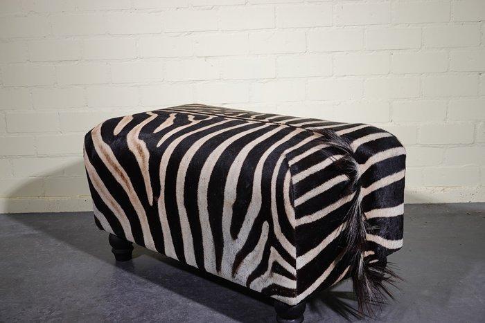 Burchell-zebra Taxidermie wandmontage - equus burchelli - 48, Antiek en Kunst, Curiosa en Brocante
