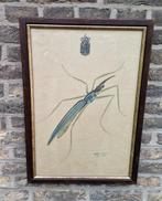 Walter Spies 1895-1942 - Insect, Antiek en Kunst