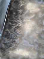 WMF / Geislingen - Suikergoed schotel - Verzilverd