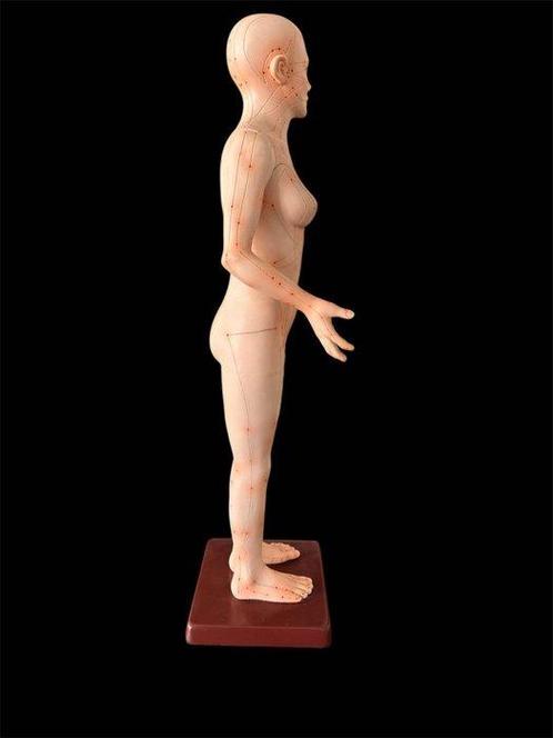 Prachtige - Pop Acupressuurmodel vrouwelijk naakt anatomisch, Antiek en Kunst, Antiek | Speelgoed