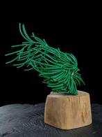 Gabor M Szoke - Flying puppy