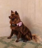 Georges Frédéric Rötig (1873-1961) - Portrait of a spitz dog