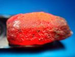 102.5 ct - Onbehandelde robijn - Ruw- 20.5 g