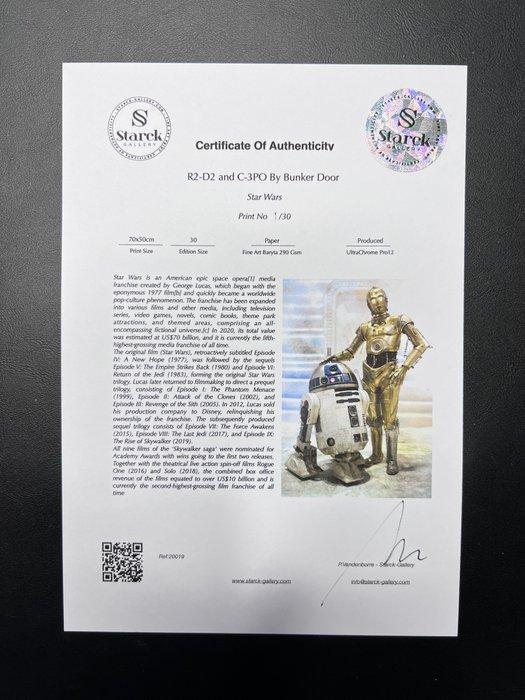 Star Wars, R2-D2 & C-3PO - Droids - Fine Art Photography -, Verzamelen, Film en Tv