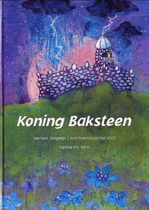 Koning Baksteen 9789077065389, Boeken, Kinderboeken | Kleuters, Gelezen, Verzenden