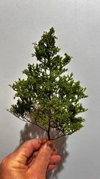 Ultra Realistische modelbouw bomen H0, N, TT - eigen, Nieuw