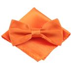 Fako Fashion® - Vlinderstrik Met Pochette - Vlinderdas -, Kleding | Heren, Verzenden, Nieuw