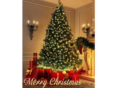 Veiling - Kerstboomverlichting, Diversen, Kerst