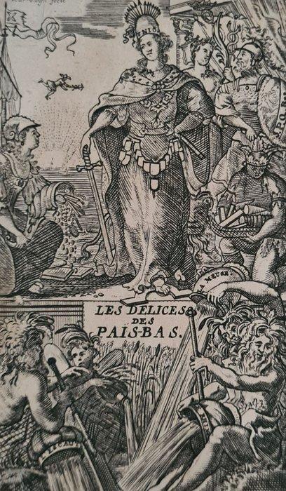 Jean Baptiste Christyn, J.F. Bassompiere - Les Délices des, Antiquités & Art, Antiquités | Livres & Manuscrits