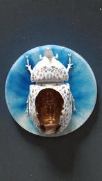 Angelo Scardino - Custode della Trasformazione