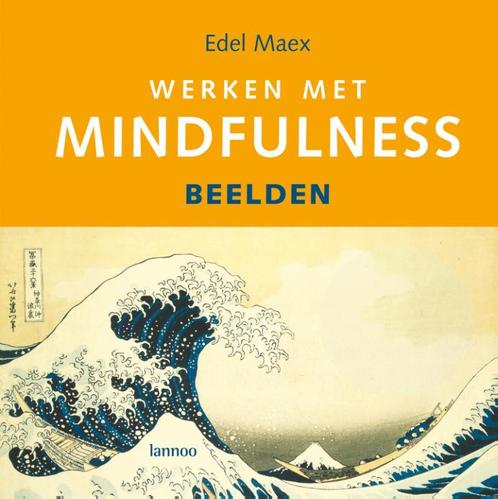 Werken met mindfulness 9789020971569 E. Maex, Boeken, Esoterie en Spiritualiteit, Gelezen, Verzenden