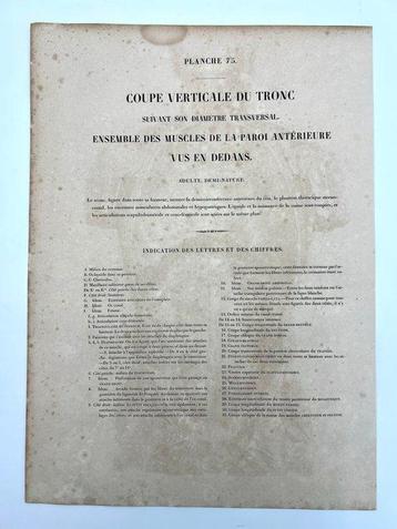Matériel pédagogique - Nicolas-Henri Jacob & Jean Baptiste