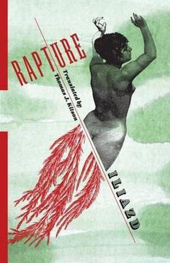 Rapture 9780231180832 Iliazd, Boeken, Taal | Engels, Zo goed als nieuw, Verzenden