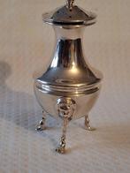 Strooier - Zilveren Gave zilveren Strooier vervaardigd in