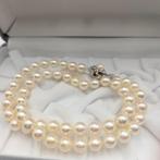 Zonder minimumprijs - Halsketting Zilver Parel - Akoya 7,5, Nieuw