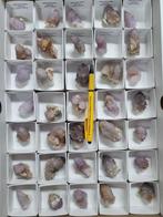 Big lot of spirit / cactus quartz - South Africa - 3,5 / 5,7