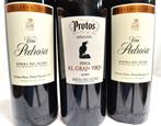 2020 Protos selección Finca El Grajo Viejo x1 and Viña, Nieuw