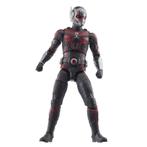 Ant-Man and the Wasp: Quantumania Marvel Legends Action Figu, Verzamelen, Ophalen of Verzenden, Nieuw