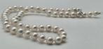 Sans Prix de Réserve - Collier - 18 carats Or blanc Perle -, Nieuw