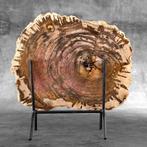 C - Wonderlijke grote plak versteend hout op een op maat