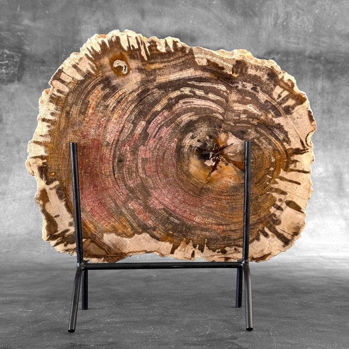 C - Wonderlijke grote plak versteend hout op een op maat, Antiquités & Art, Art | Objets design