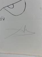 Salvador Dali (1904-1989) - La conquête du cosmos - El