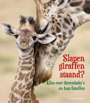 Slapen giraffen staand? 9789052109039 Anita van Saan, Boeken, Overige Boeken, Zo goed als nieuw, Verzenden