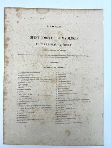 Matériel pédagogique - Nicolas-Henri Jacob & Jean Baptiste