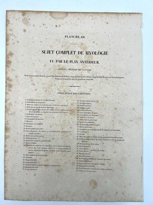 Matériel pédagogique - Nicolas-Henri Jacob & Jean Baptiste, Antiek en Kunst, Antiek | Wandborden en Tegels
