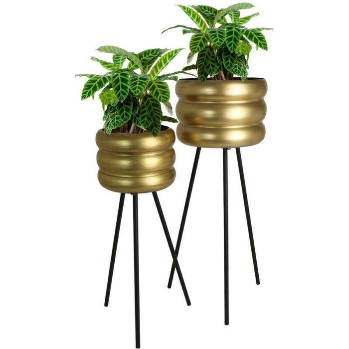 Bloempot - Metaal, IJzer - Set van twee bloempotten, Antiek en Kunst, Kunst | Designobjecten