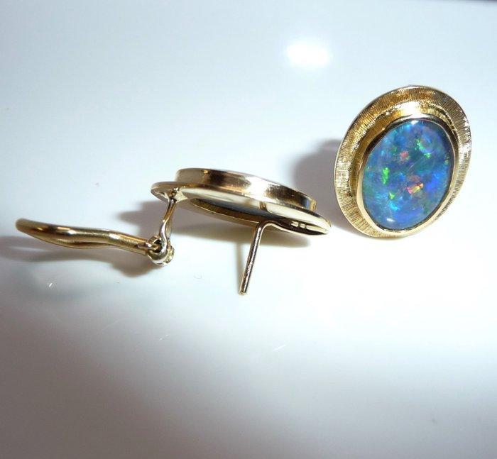 Oorbellen - 18 karaat Geel goud - 5.00ct. tw. Opaal -, Handtassen en Accessoires, Oorbellen