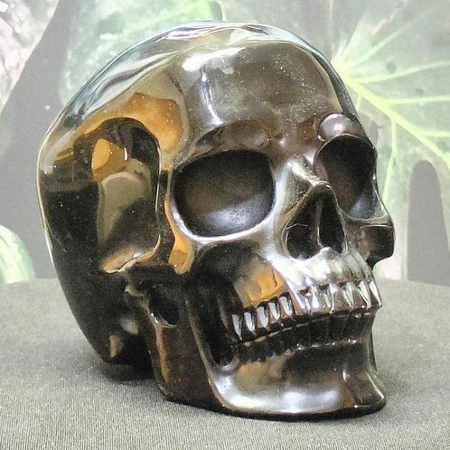Handgesneden Menselijk Hersen in Zwarte Obsidiaan Crystals -, Verzamelen, Dierenverzamelingen